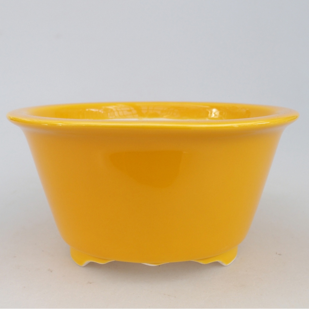 Ceramiczna miska do bonsai 16 x 16 x 8,5 cm, żółta