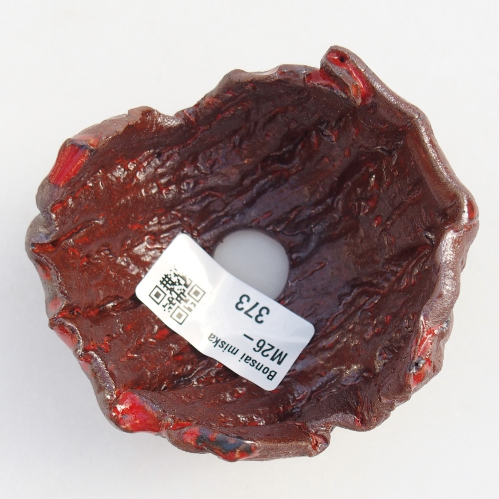 Ceramiczna muszla 8 x 8 x 5,5 cm, kolor brązowy