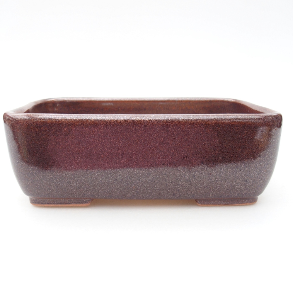 Ceramiczna miska bonsai 16 x 11 x 5,5 cm, kolor brązowy