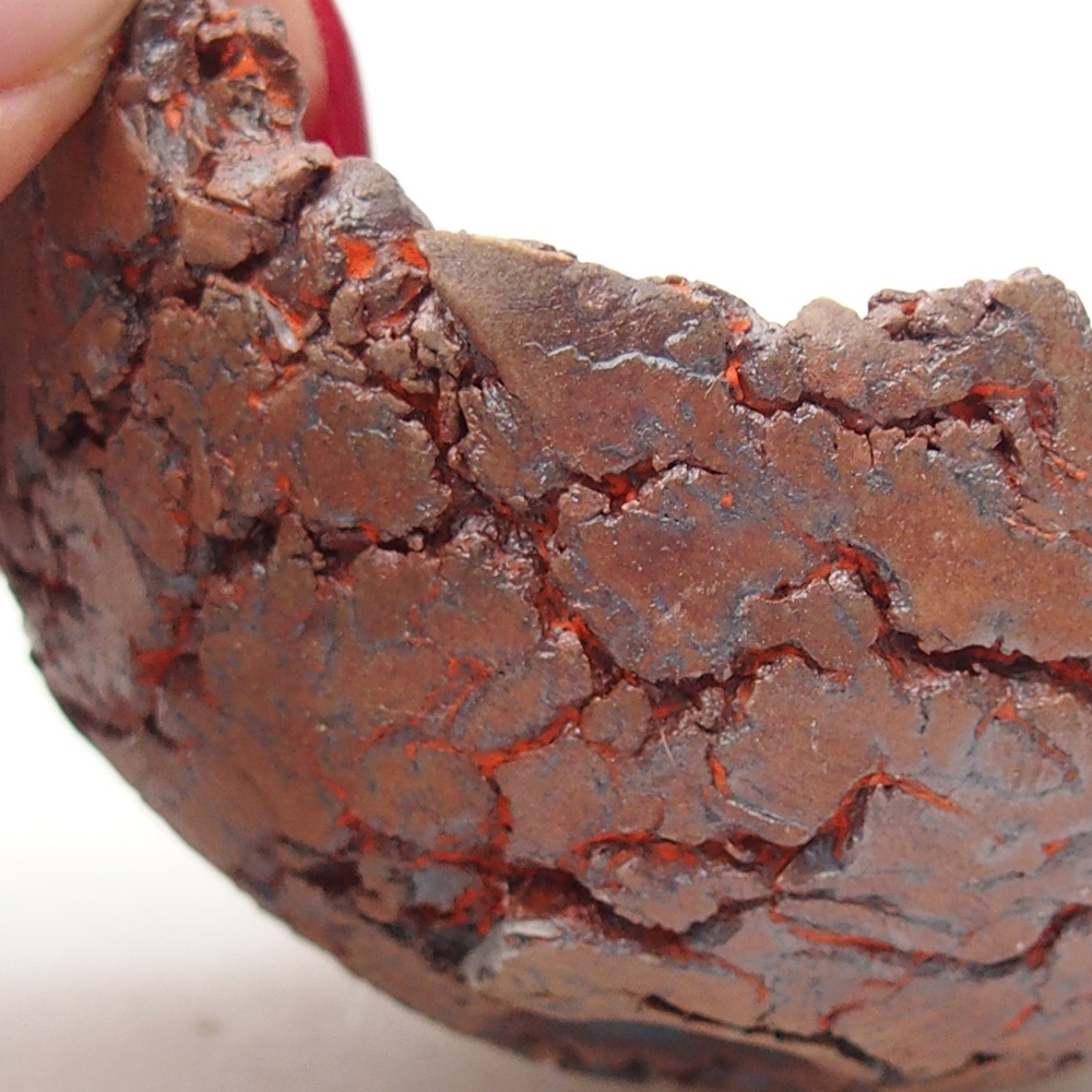 Ceramiczna skorupa 8 x 7 x 3,5 cm, kolor pomarańczowy