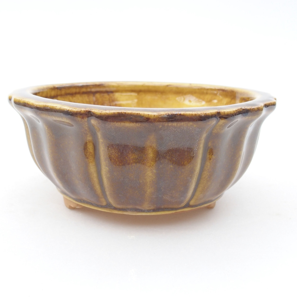 Ceramiczna miska bonsai 11,5 x 11,5 x 5 cm, kolor Żółty