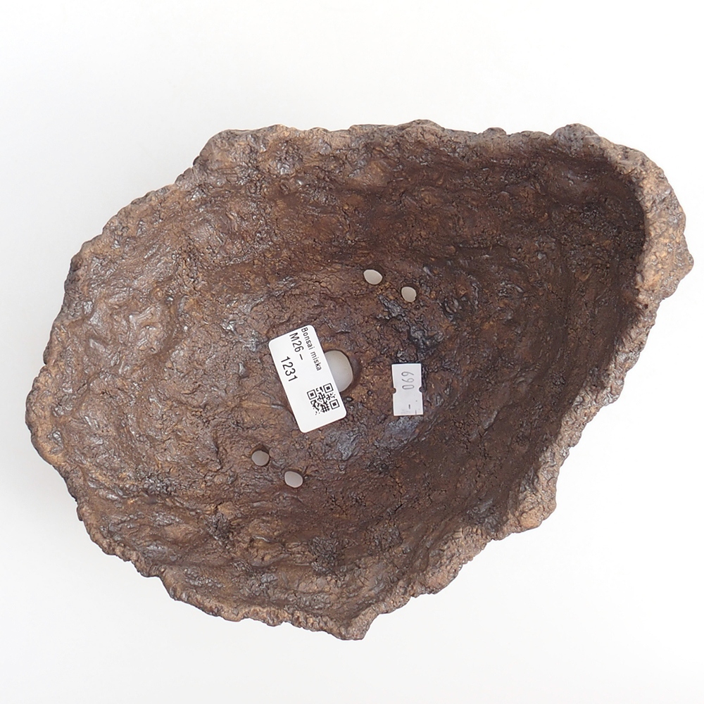 Ceramiczna muszla 20 x 16 x 17 cm, kolor brązowy