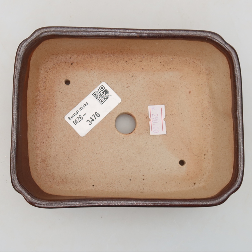Ceramiczna miska do bonsai 15 x 12,5 x 4,5 cm, kolor brązowy