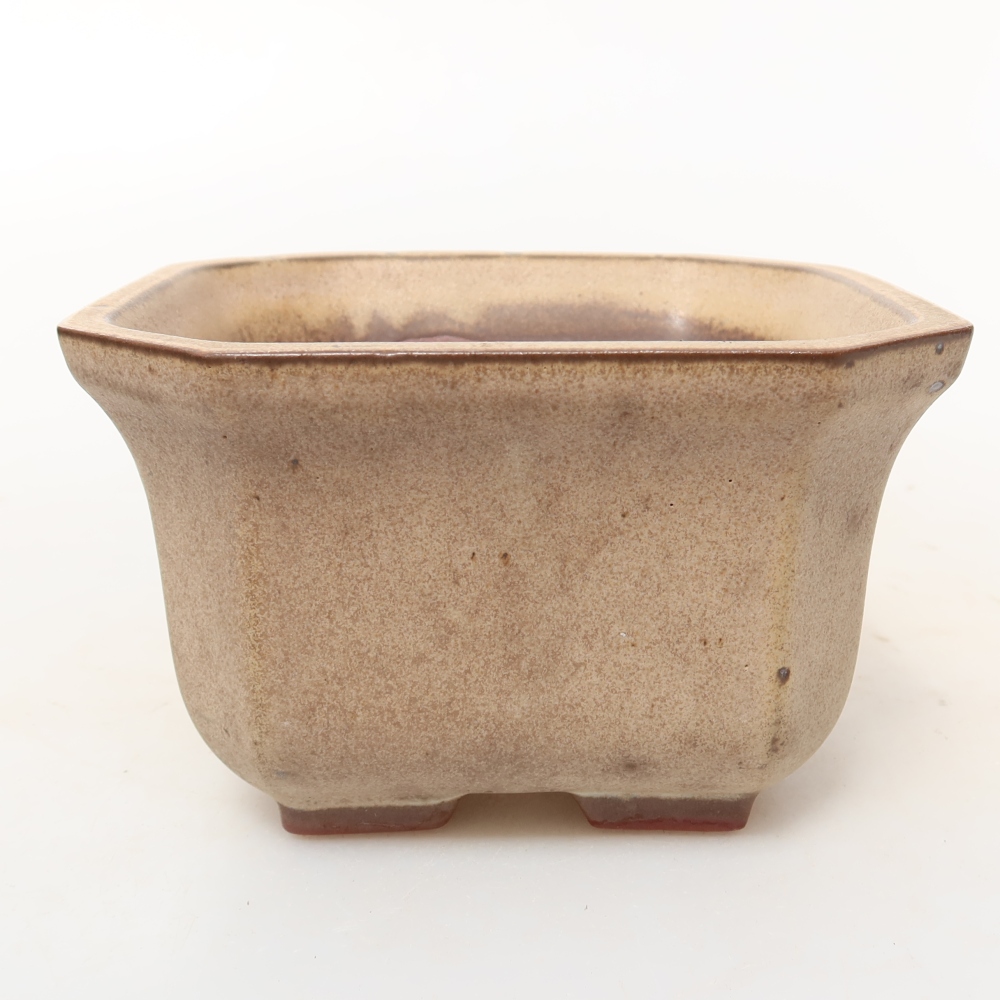 Ceramiczna skorupka  11,5 x 11,5 x 7 cm, kolor beżowy