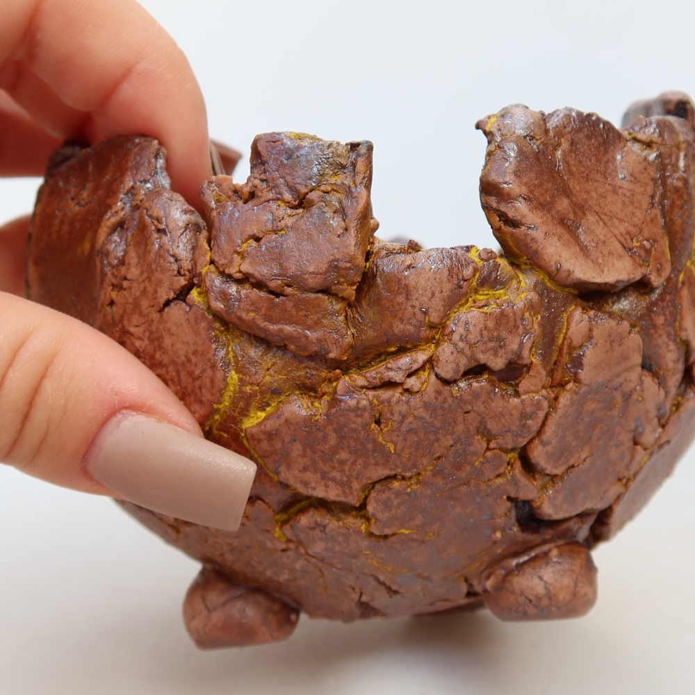 Ceramiczna skorupka  10 x 10 x 8 cm, kolor żółty