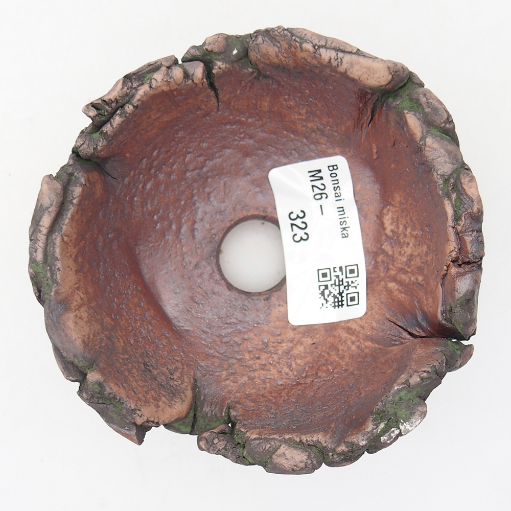 Ceramiczna muszla 9,5 x 9,5 x 6 cm, kolor zielony