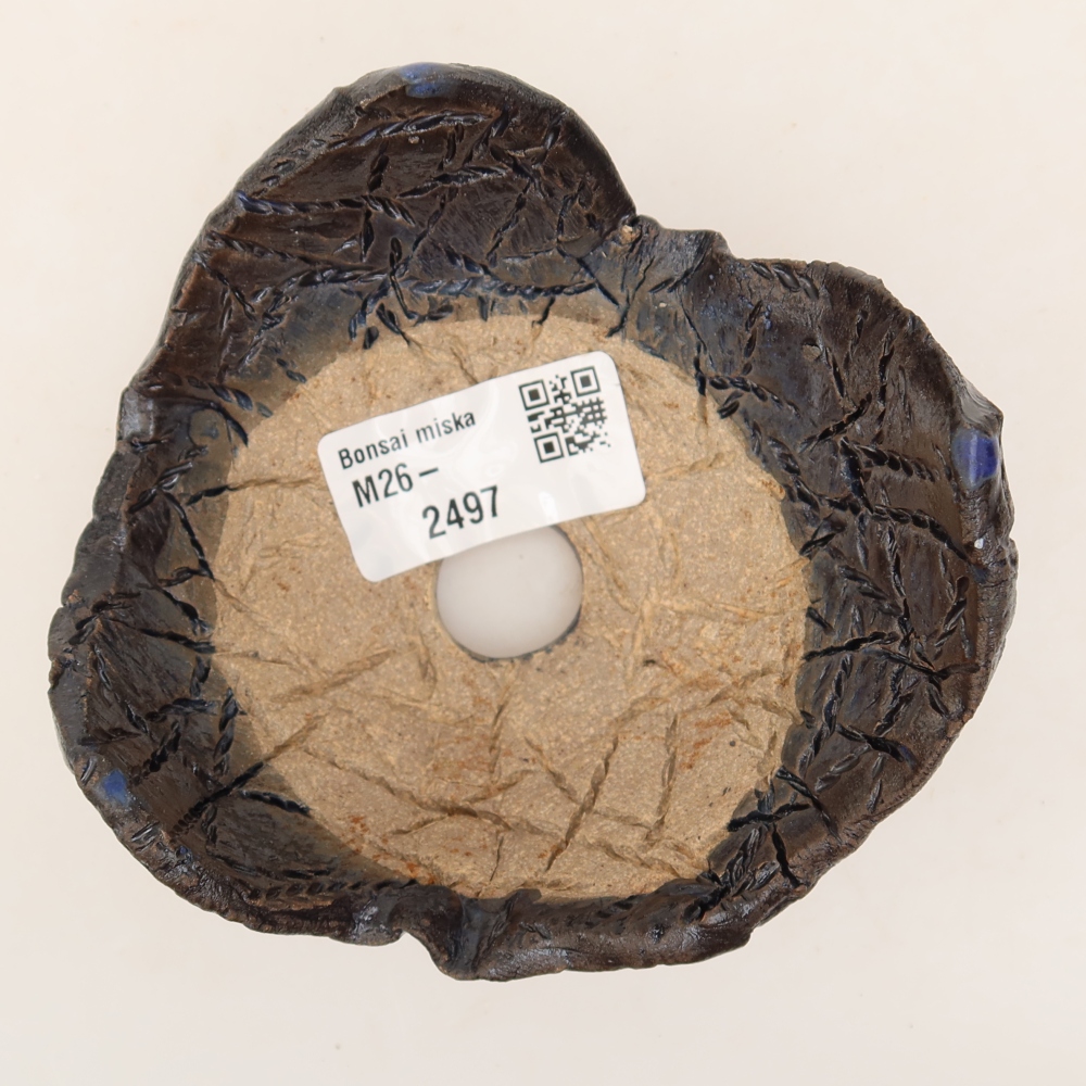 Ceramiczna skorupa  10 x 9,5 x 6 cm, kolor czarno-niebieski