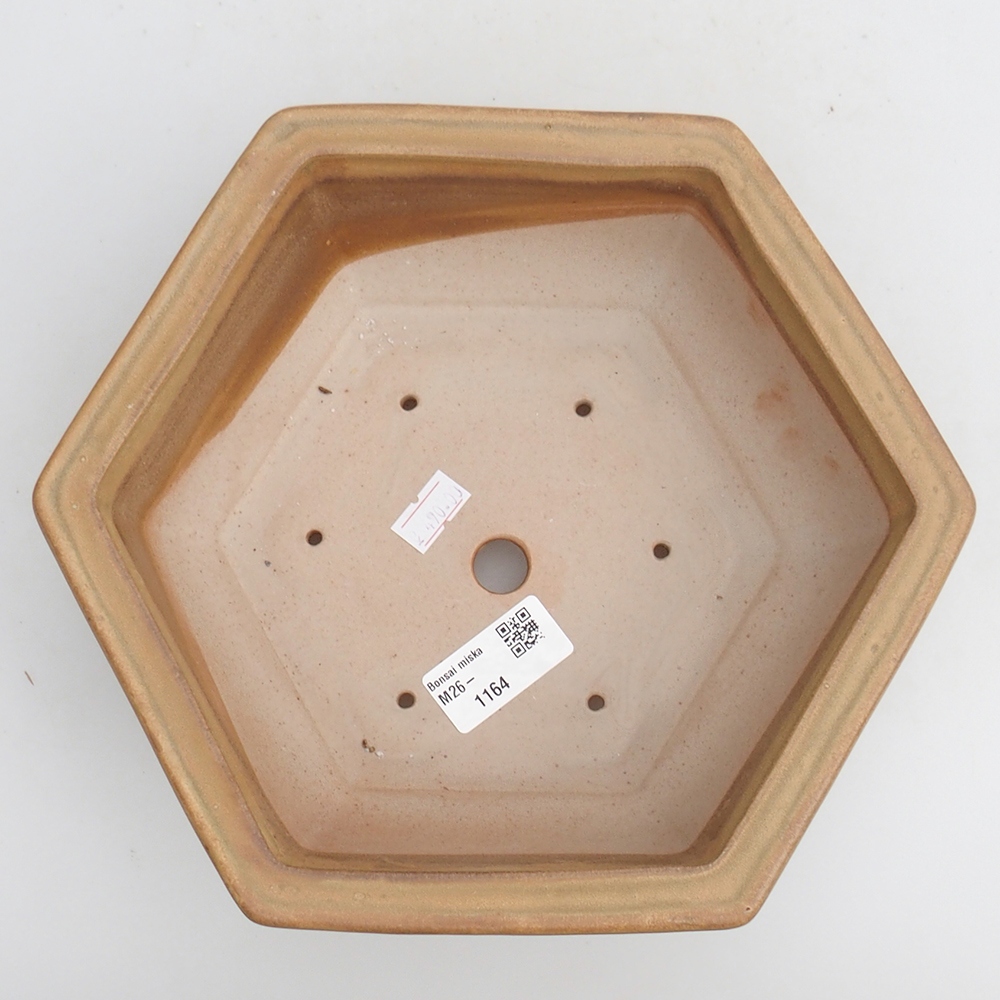 Ceramiczna miska na bonsai 23 x 21 x 7,5 cm, kolor beżowy