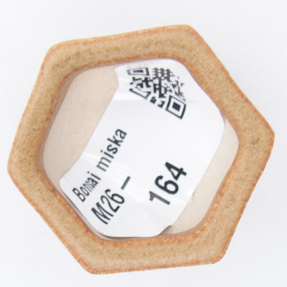 Mini miska do bonsai 4 x 3,5 x 2 cm, brązowa