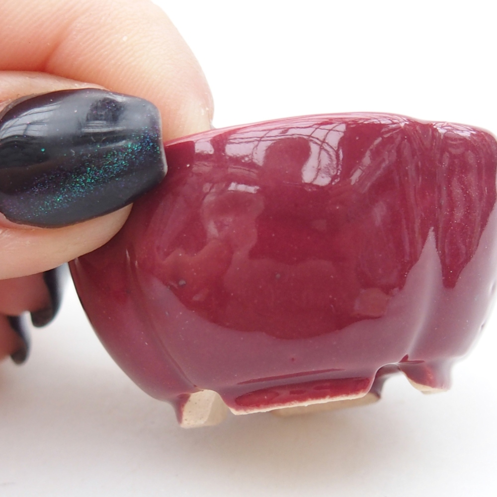 Mini miska do bonsai 4 x 4 x 2 cm, bordowa