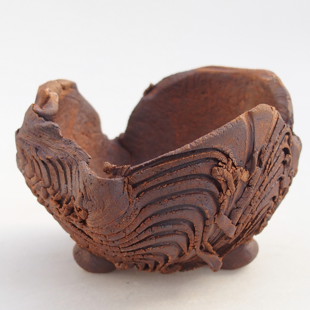 Ceramiczna muszla 8,5 x 8,5 x 6,5 cm, kolor brązowy