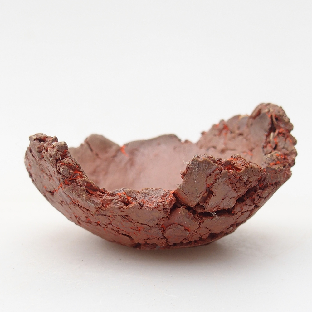 Ceramiczna muszla 7 x 7 x 4 cm, kolor pomarańczowy