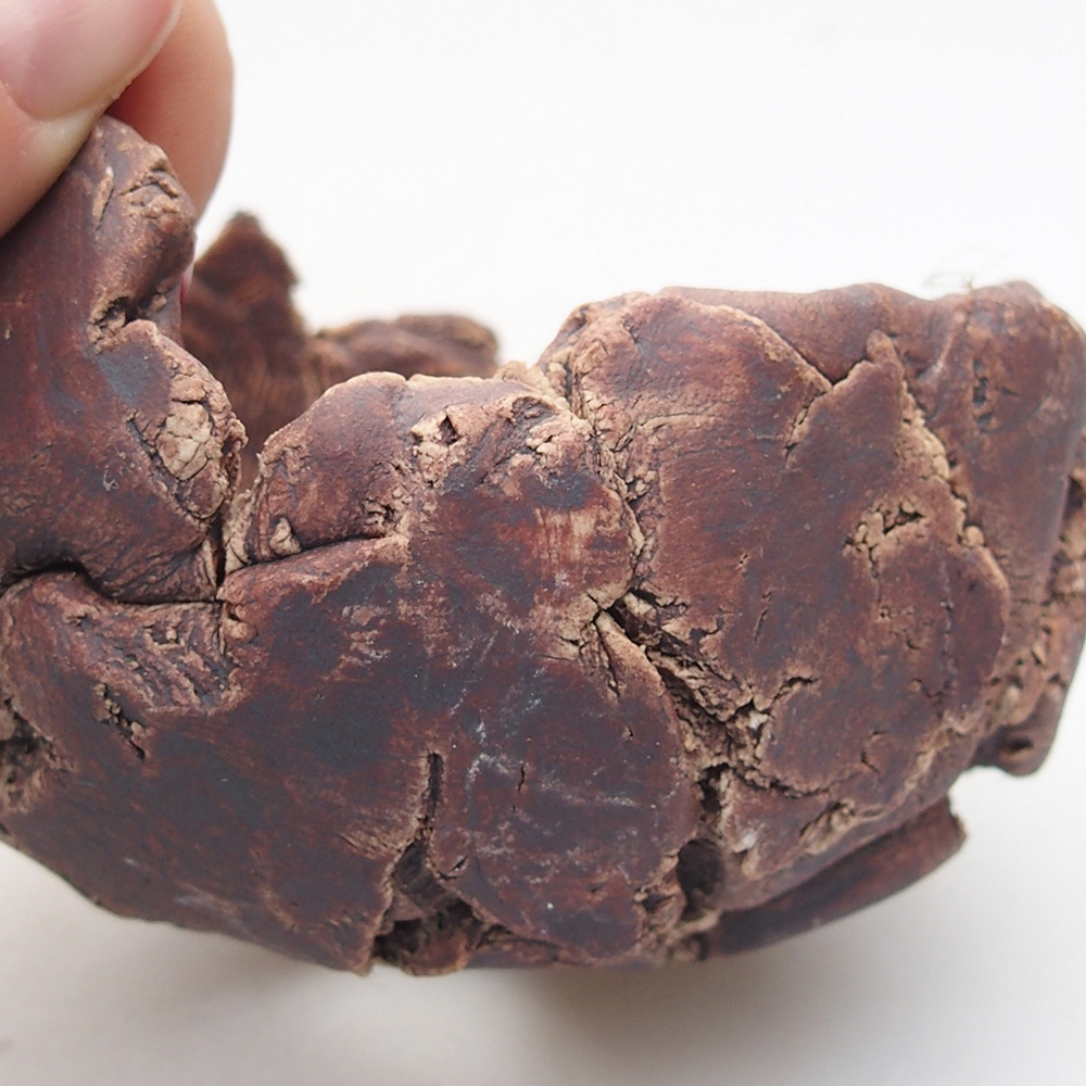 Muszla ceramiczna 9 x 8,5 x 6 cm, kolor brązowy