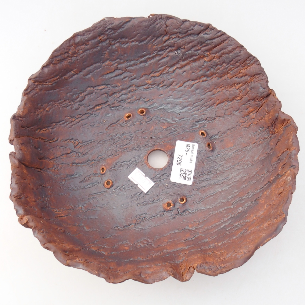 Ceramiczna muszla 23 x 23 x 7 cm, kolor brązowy