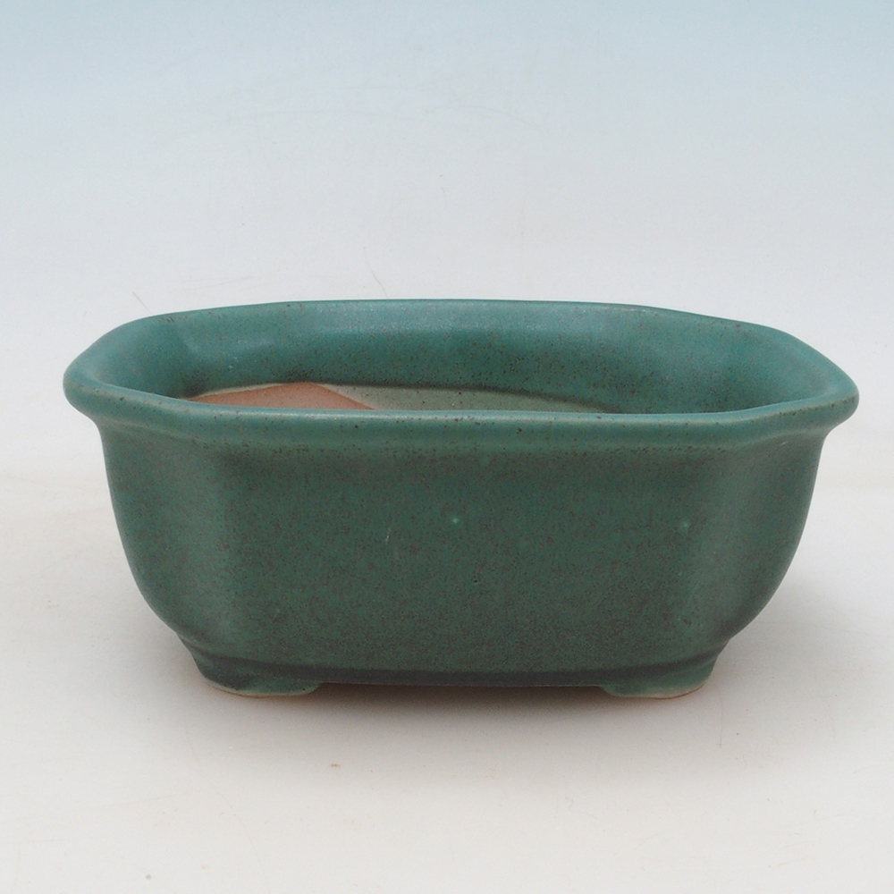 Bonsai bowl + spodek H31 - zielony