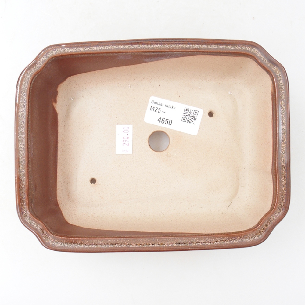 Ceramiczna miska bonsai 18 x 13,5 x 5 cm, kolor brązowy