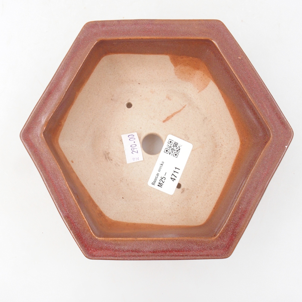 Ceramiczna miska bonsai 14 x 11 x 4 cm, kolor bordowy