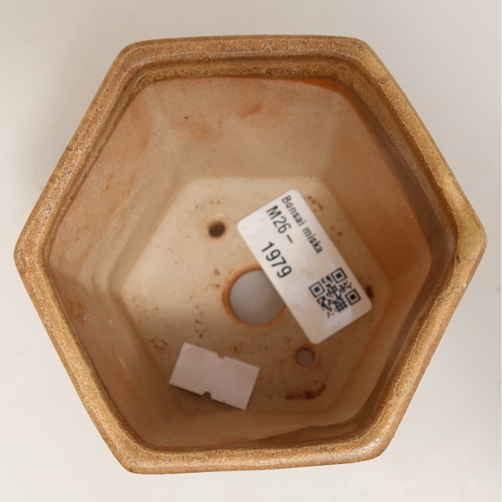 Ceramiczna miska do bonsai 9 x 8,5 x 8 cm, kolor beżowy