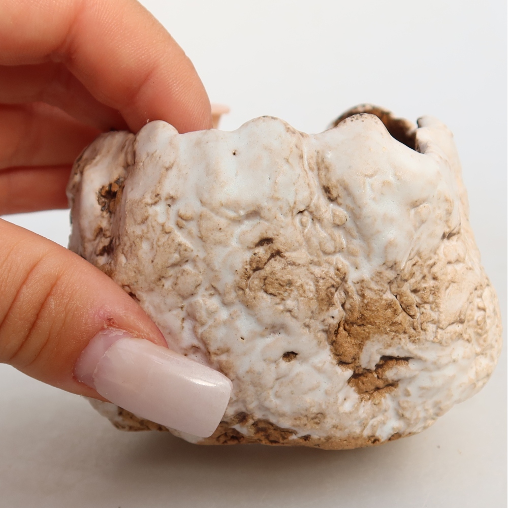 Ceramiczna skorupa  7 x 7 x 6 cm, kolor biało-brązowy