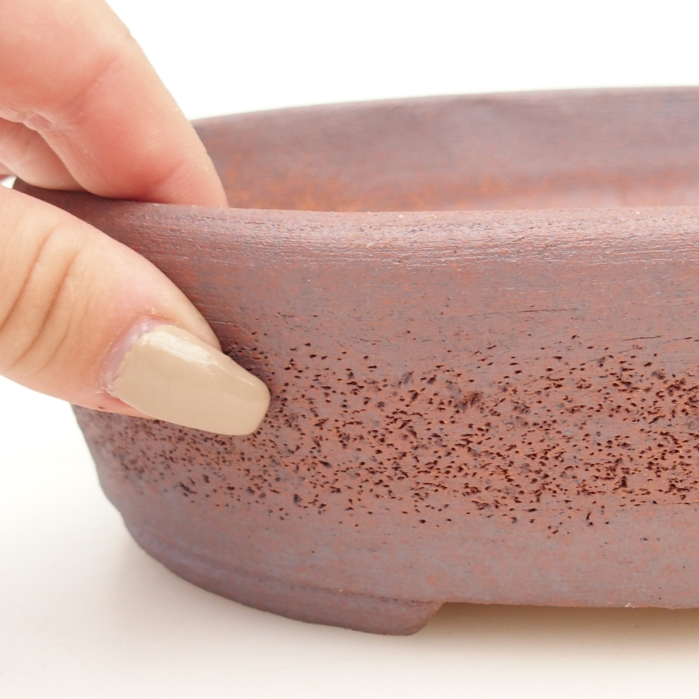 Misa do bonsai 19,5 x 16 x 6 cm, kolor metaliczny