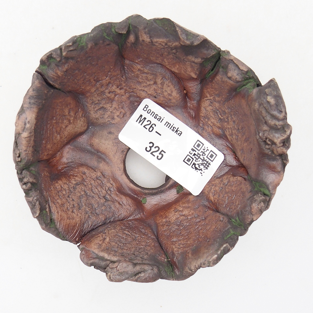 Ceramiczna muszla 8,5 x 6 x 6,5 cm, kolor zielony