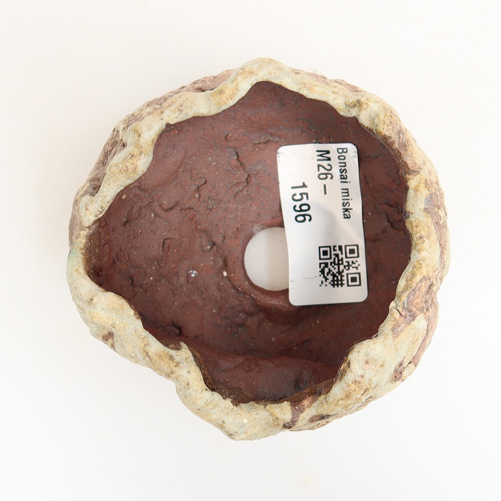 Ceramiczna skorupka  6,5 x 6,5 x 5,5 cm, kolor zielony
