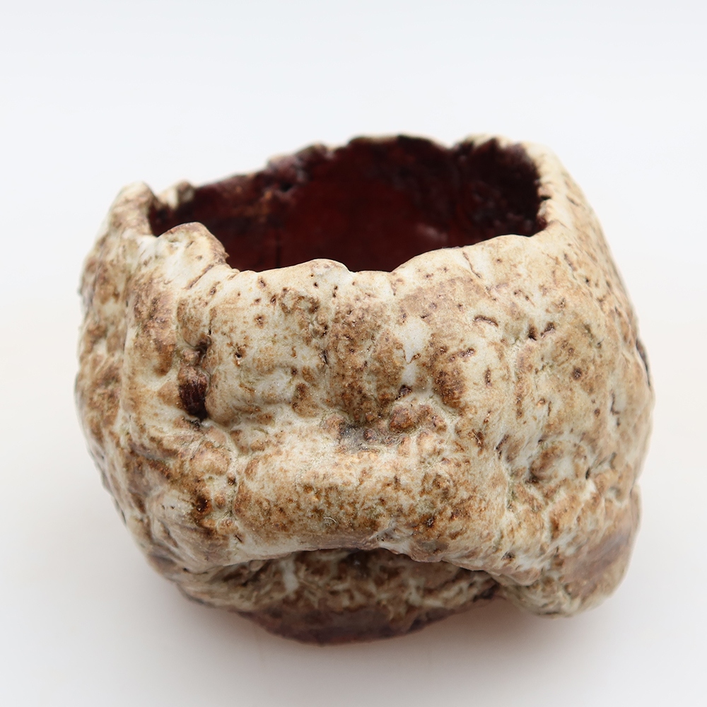 Ceramiczna skorupa  5 x 5 x 5,5 cm, kolor brązowo-biały