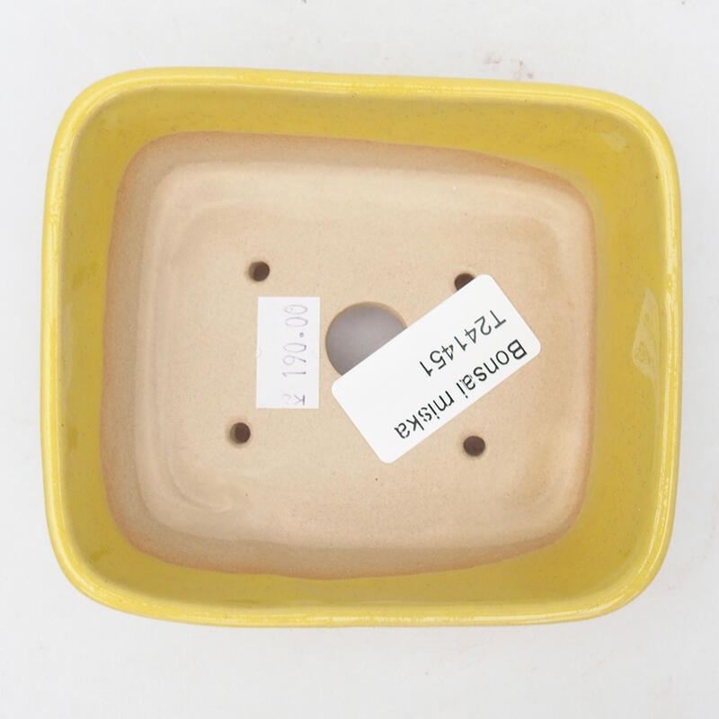 Ceramiczna miska bonsai 10,5 x 9 x 4 cm, kolor żółty