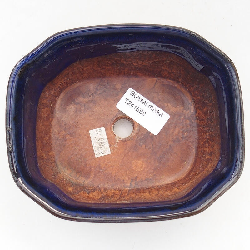 Ceramiczna miska bonsai 15 x 12,5 x 6,5 cm, kolor niebieski