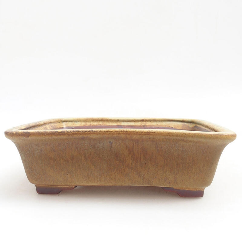 Ceramiczna miska bonsai 17,5 x 14,5 x 5,5 cm, kolor zielony