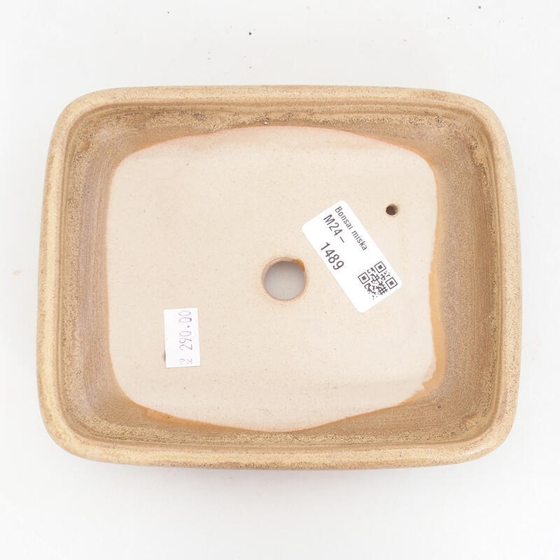 Ceramiczna miska bonsai 17 x 13,5 x 3,5 cm, kolor beżowy
