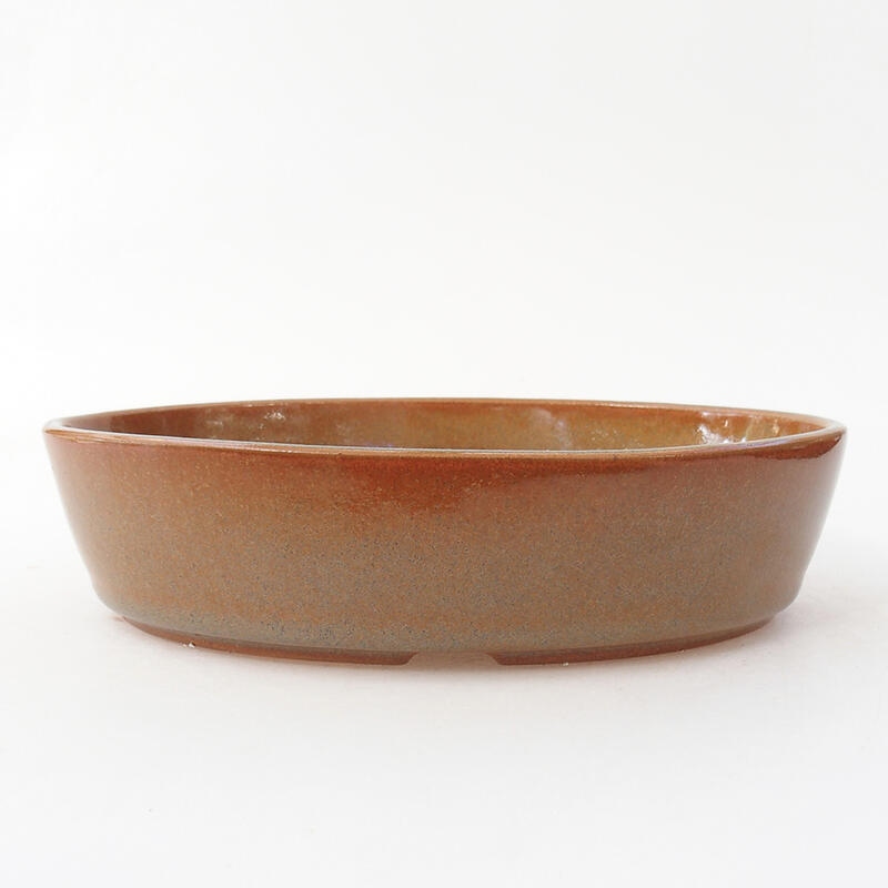 Ceramiczna miska bonsai 18,5 x 13,5 x 4,5 cm, kolor brązowy