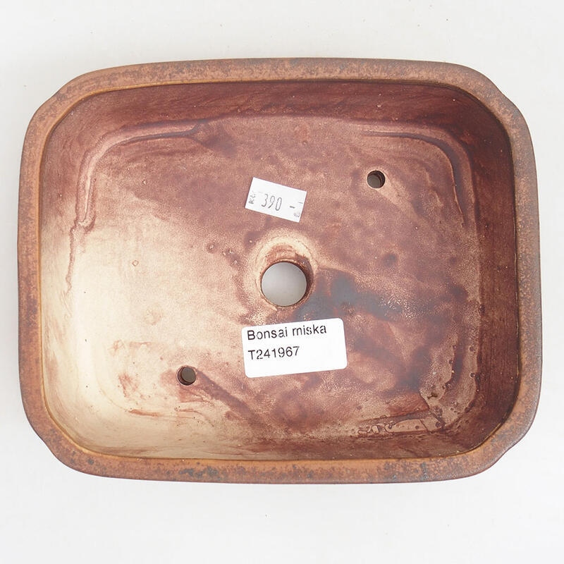 Ceramiczna miska bonsai 18 x 14,5 x 4,5 cm, kolor brązowy
