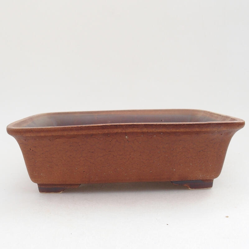 Ceramiczna miska bonsai 18 x 14 x 5,5 cm, kolor brązowy