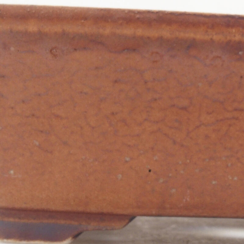 Ceramiczna miska bonsai 18 x 14 x 5,5 cm, kolor brązowy