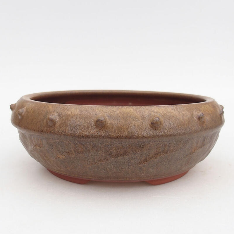 Ceramiczna miska bonsai 19 x 19 x 7 cm, kolor brązowy
