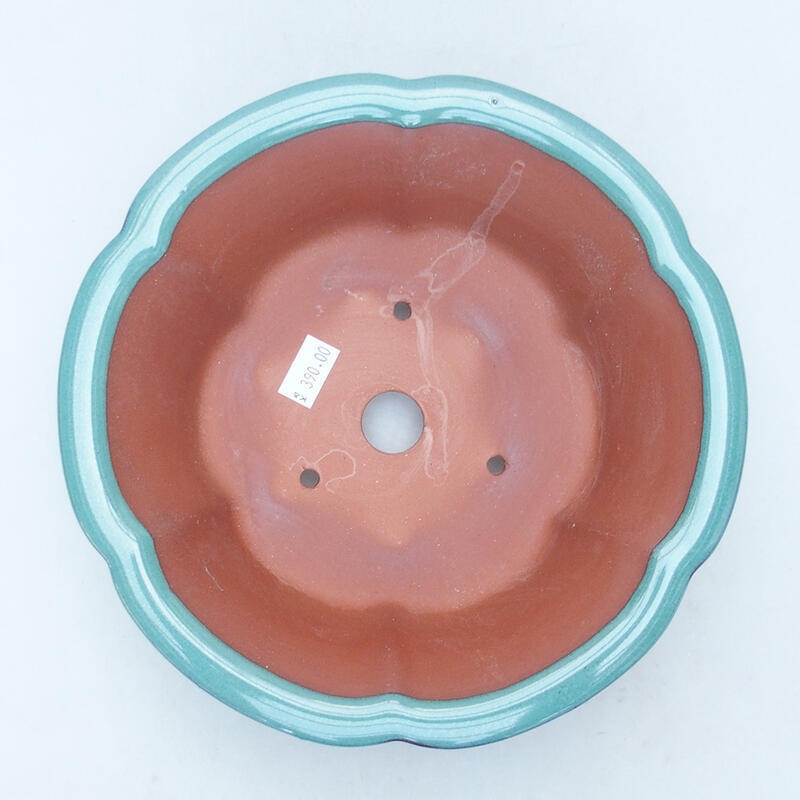 Ceramiczna miska bonsai 20 x 20 x 6,5 cm, kolor zielony