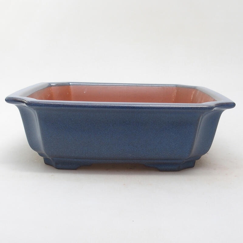 Ceramiczna miska bonsai 21,5 x 21,5 x 6,5 cm, kolor niebieski
