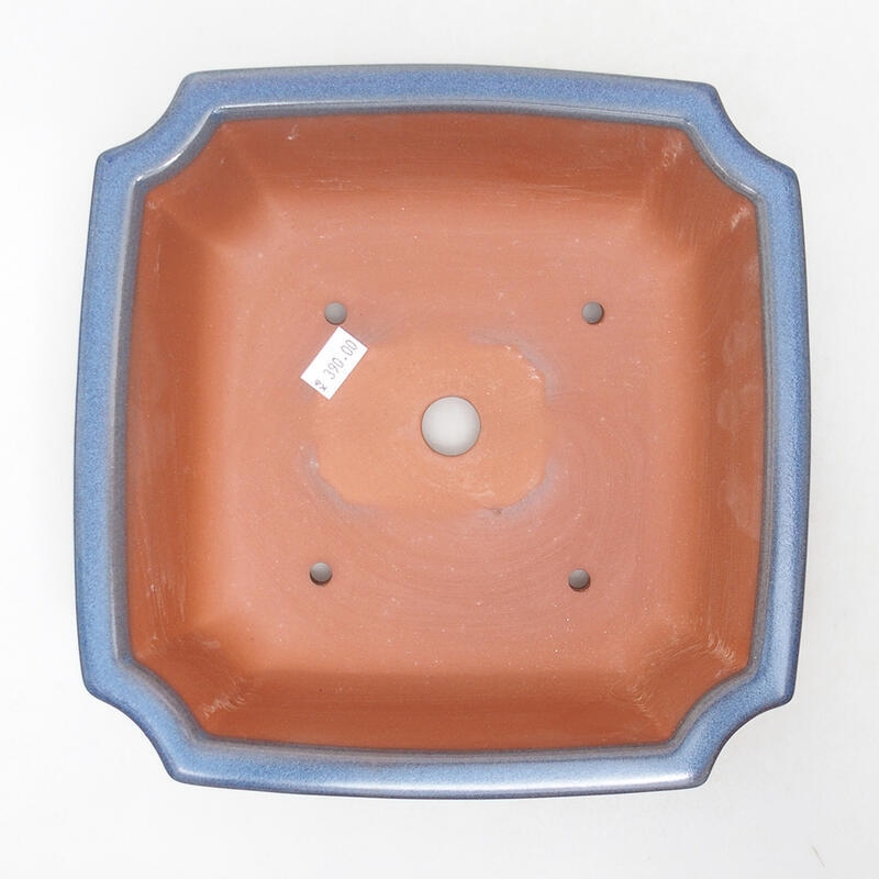 Ceramiczna miska bonsai 21,5 x 21,5 x 6,5 cm, kolor niebieski