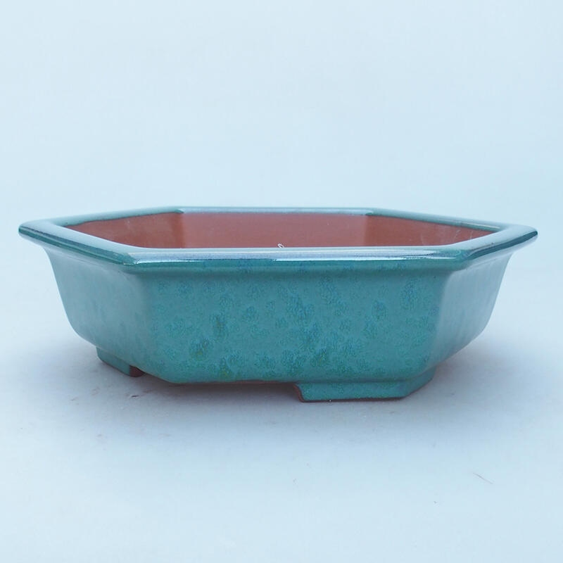 Ceramiczna miska bonsai 23 x 21 x 6 cm, kolor zielony