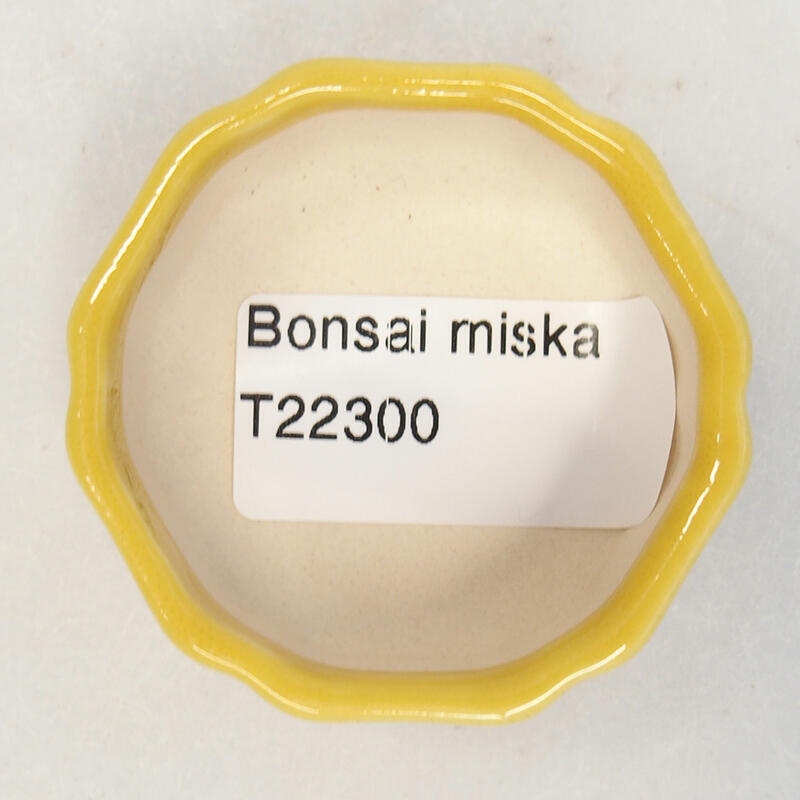 Ceramiczna miska bonsai 5 x 5 x 2 cm, kolor żółty