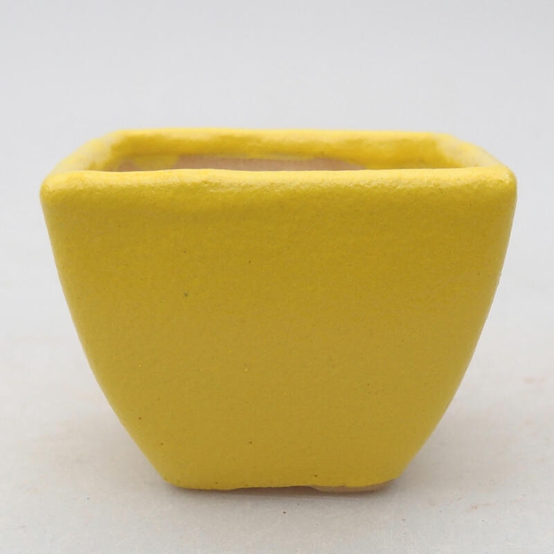 Ceramiczna miska bonsai 6 x 6 x 4,5 cm, żółta