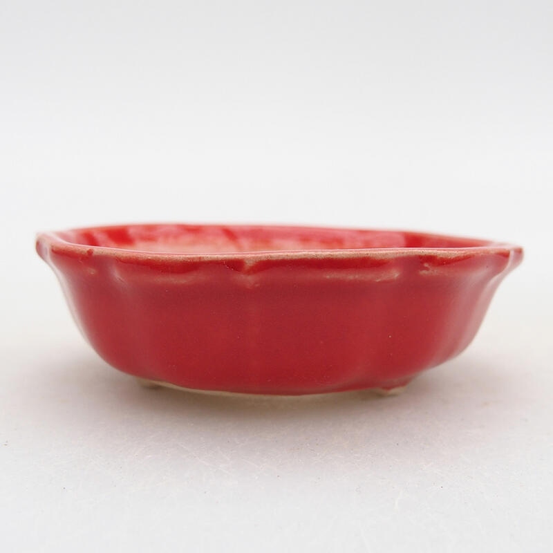 Ceramiczna miska bonsai 7 x 7 x 2,5 cm, czerwona