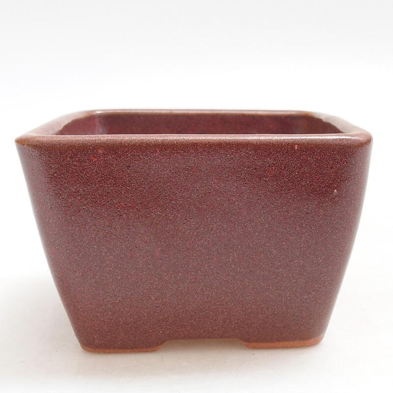 Ceramiczna miska bonsai 8,5 x 8,5 x 5,5 cm, kolor wina