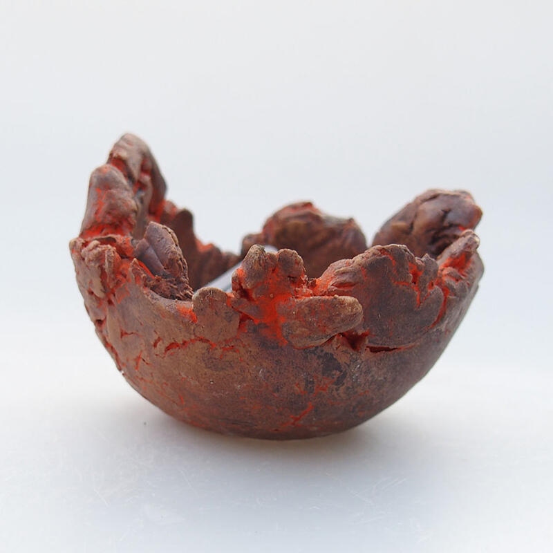 Muszla ceramiczna 5,5 x 5,5 x 4 cm, kolor pomarańczowy