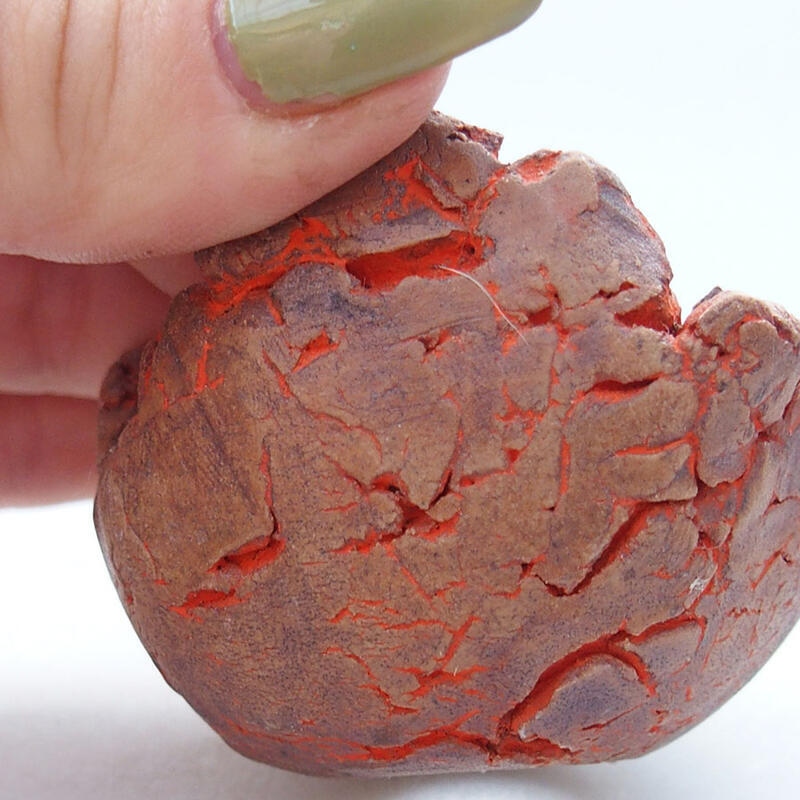 Muszla ceramiczna 5,5 x 5,5 x 4 cm, kolor pomarańczowy