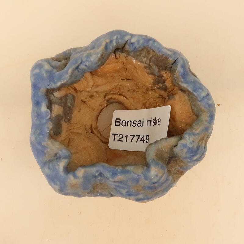 Ceramiczna muszla 5 x 5 x 8 cm, kolor niebieski