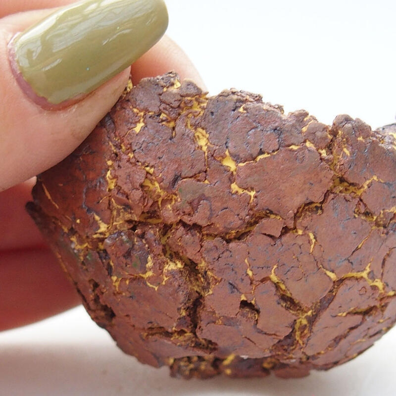 Muszla ceramiczna 6 x 5,5 x 3 cm, kolor żółty