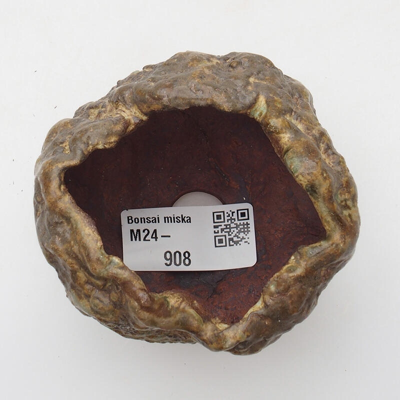Muszla ceramiczna 6 x 5 x 6 cm, kolor zielono-brązowy