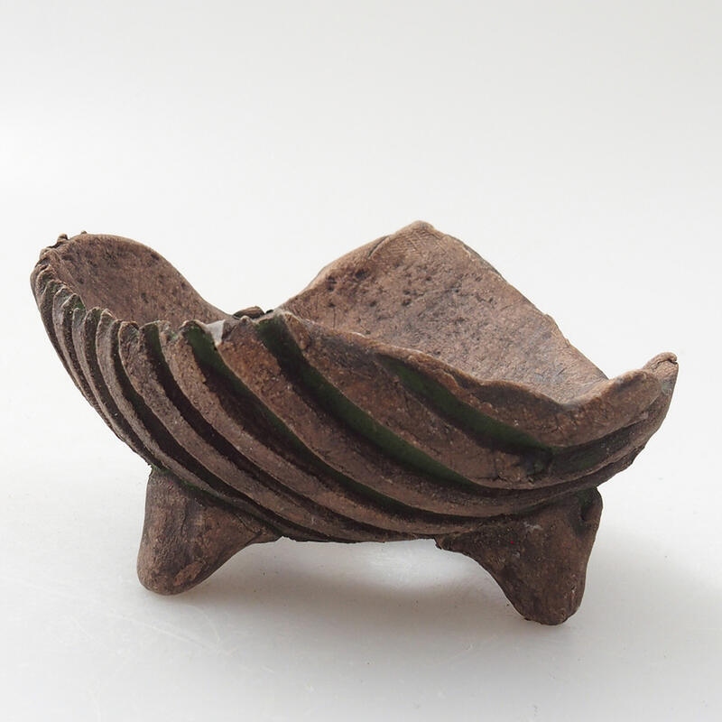 Muszla ceramiczna 7 x 7 x 4 cm, kolor zielony
